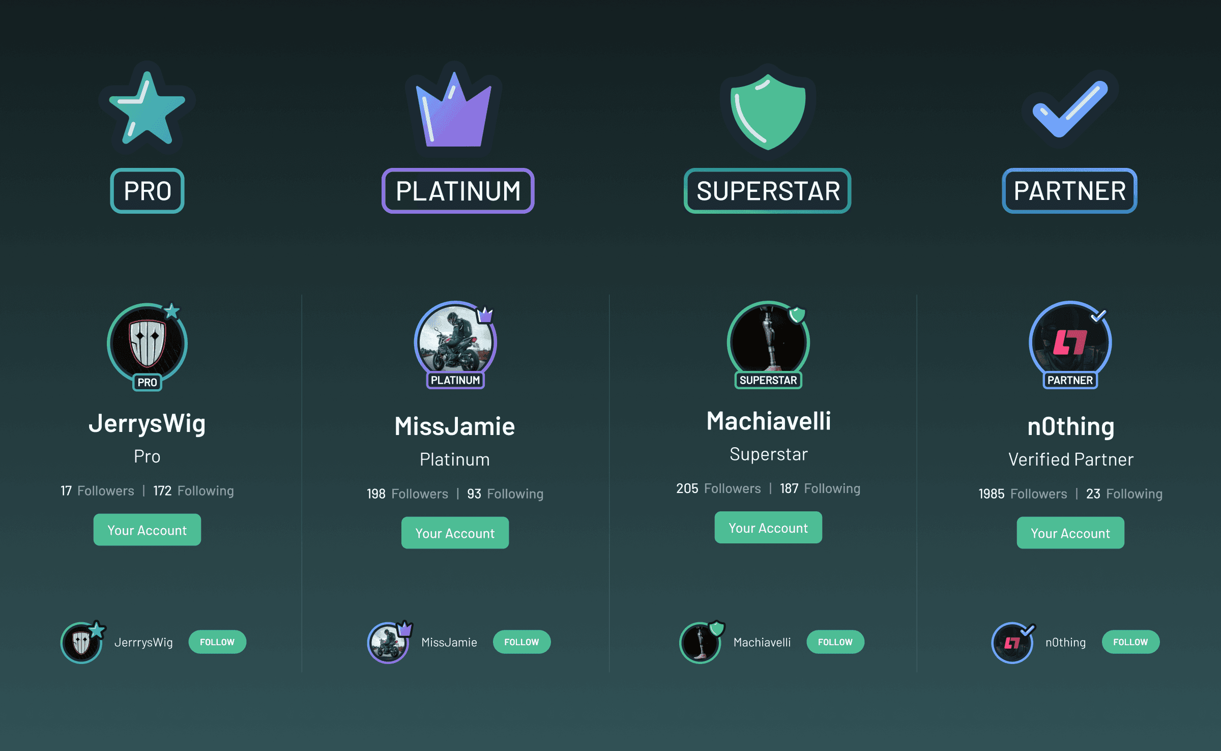 User account tiers from Pro to Partner with profile badges