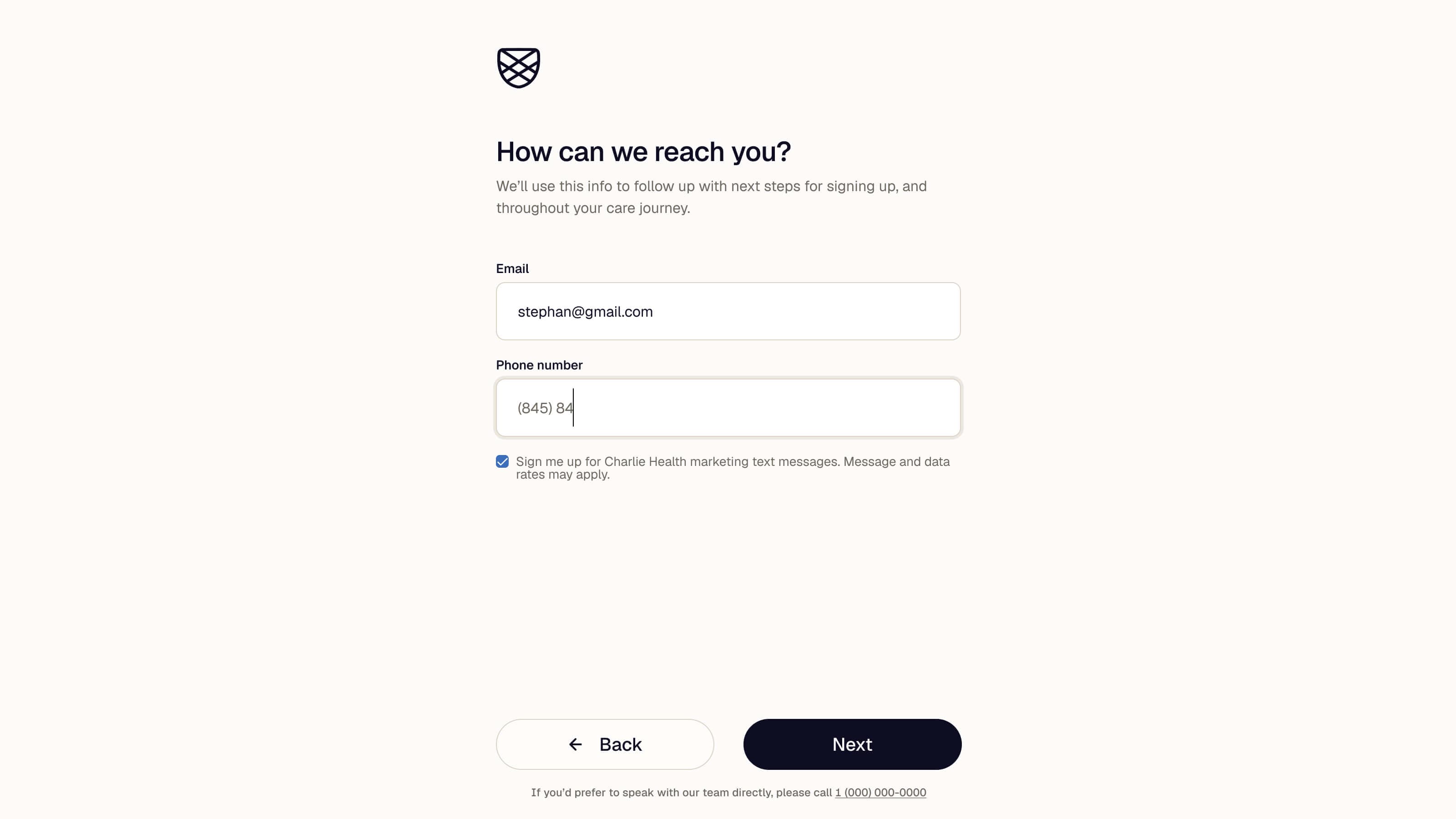 Contact details step with email and phone inputs