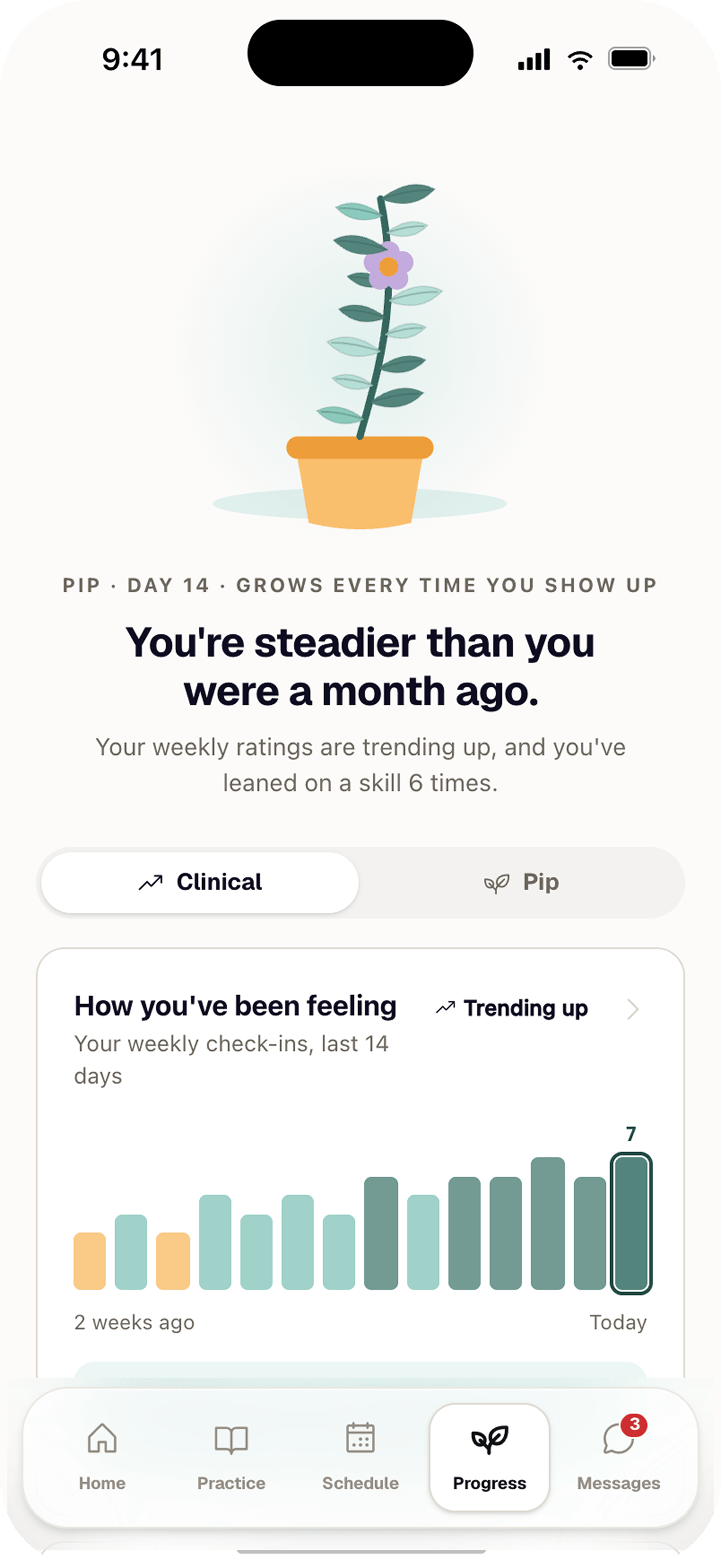 Client schedule and progress
